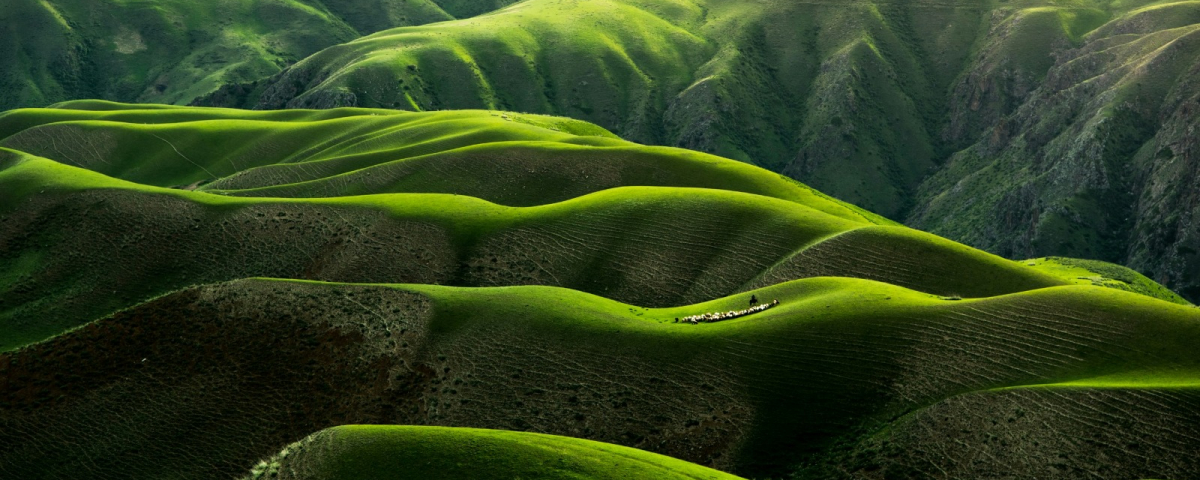 CONNECTIONIVOIRIENNE NET visual data 5