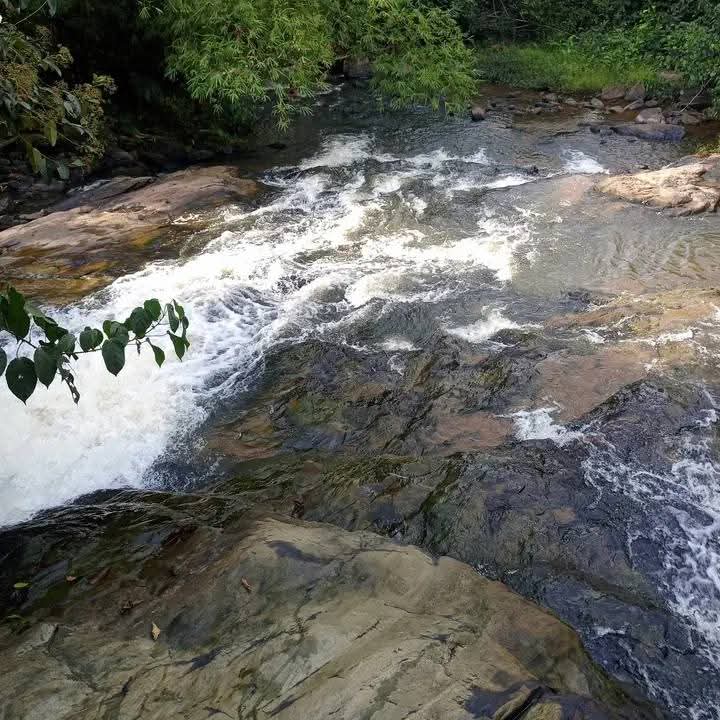 ​Financement du tourisme en Côte d’Ivoire : quel modèle adapté aux ambitions du PND 2026-2030 ?