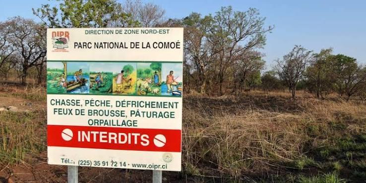 Côte d&rsquo;Ivoire : drones et ULM préservent le parc de la Comoé