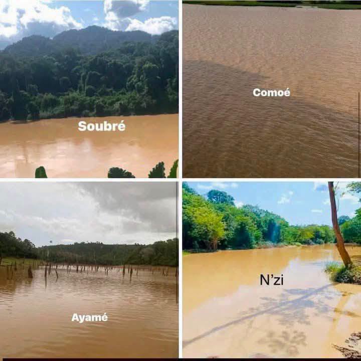 Côte d’Ivoire : l’orpaillage clandestin, une menace grandissante pour les forêts et les ressources en eau