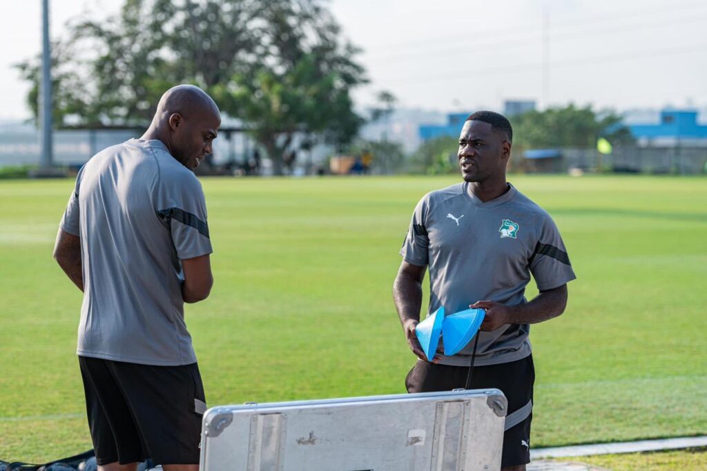 Le mauvais coaching de Faé et Guy Demel a précipité la chute des Éléphants
