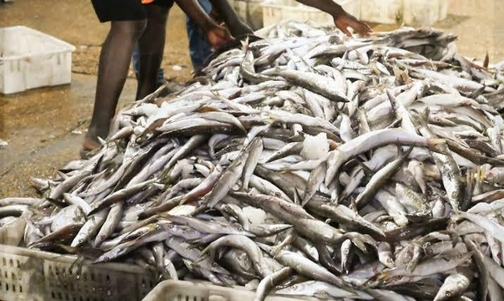 La Côte d’Ivoire suspend la pêche pour préserver ses ressources halieutiques