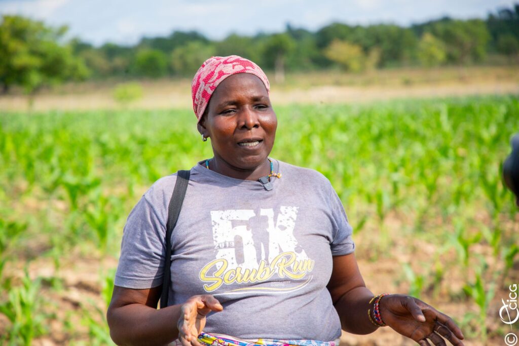 Sécurité alimentaire: à Nambonkaha, le Gouvernement soutient les producteurs
